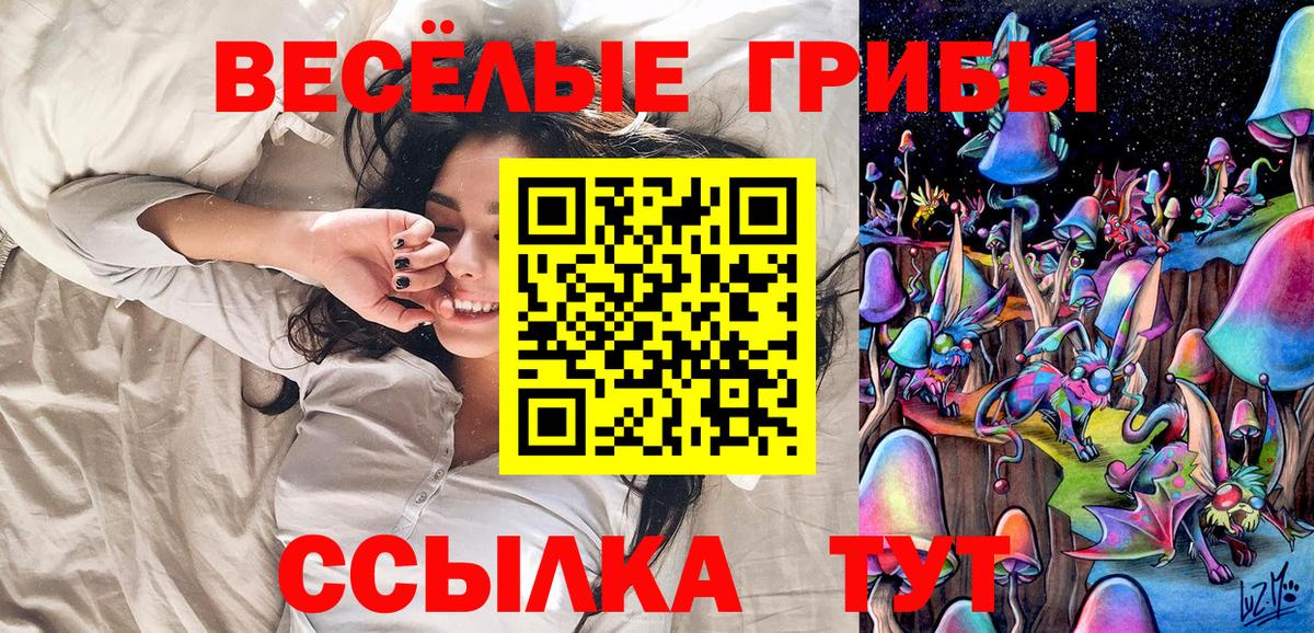 Курчатов  Псилоцибиновые грибы прущие грибы  Вход с VPN 